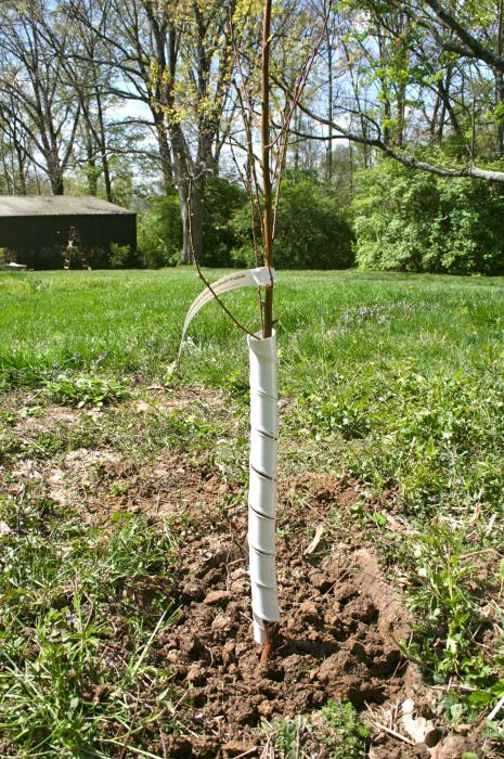 Өте әдемі әйелдер порно фотосуреттері