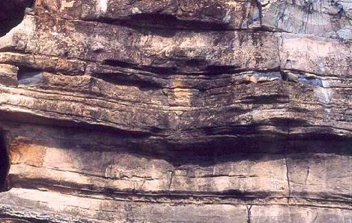 石灰岩性质 岩石是石灰岩 石灰石公式