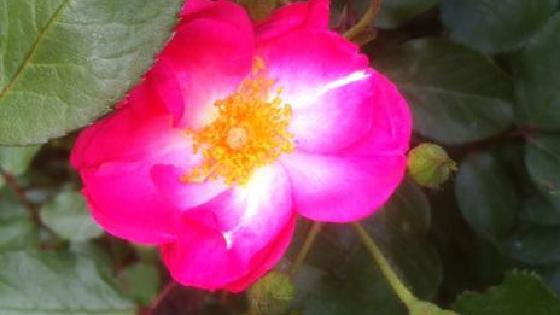 Смотреть онлайн порно: Қыздар жігітке көмектесті