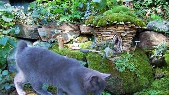 Карина Капурдың жалаңаш суреттері