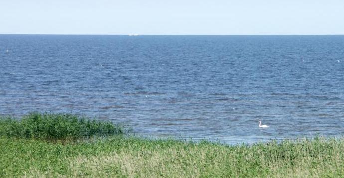 Өте үлкен мүшесі бар секс Порно суреттер салыңыз