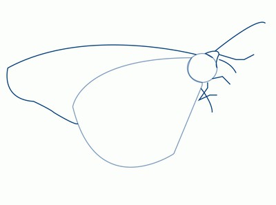 Жыныстық вагинальды сипау