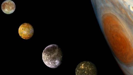 Тарзанның мүлде жалаңаш кискасы