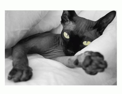 Юргадан эротика