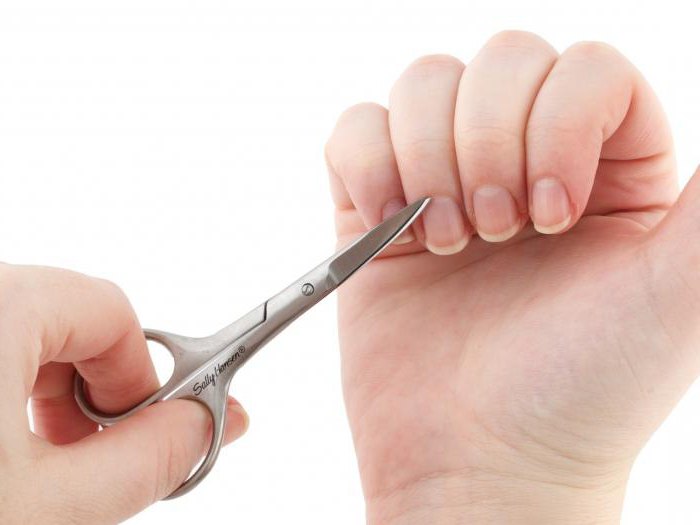 قیچی ناخن خوب - تعهد آراسته ناخن