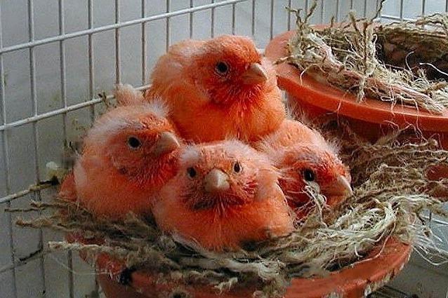 Орыс шлюха группа секс Люба