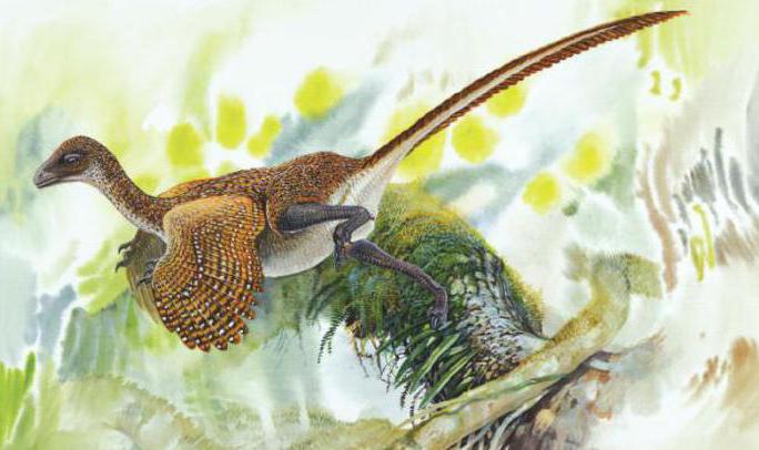 Үстел басындағы лесбияндық порно